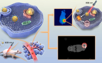 New Nanosystem Offers Precision Targeting and Therapy for Tongue Cancer