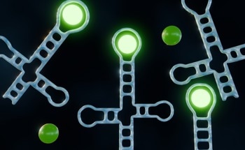 Exploring Nano-Phase Separation in Aptasensors via Nano-IR Spectroscopy