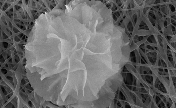 Nanoflower Bandages Bloom with Healing Power