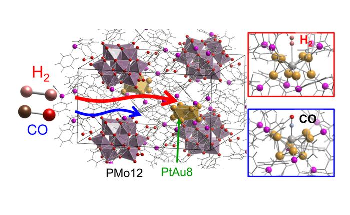 Adsorption Behavior of Hydrogen and CO on Platinum-Gold Nanostructures