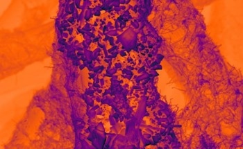 Nanoscale Tin Catalyst Discovery Paves the Way for Sustainable CO2 Conversion