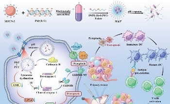 New Cancer Treatment Breakthrough: Photoimmunotherapy Shows Promise in Targeting Tumors