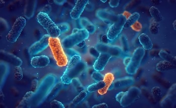 New Study Highlights Hybrid Nanocomposites as a Dual Solution for Microbial Resistance and Pollution