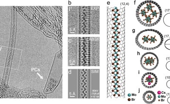 Unveiling the Magnetic Properties of Nanotube-Confined Compounds