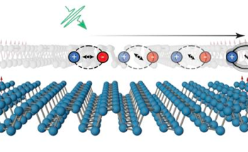Phosphorene Nanoribbons Exhibit Macroscopic Magnetic Behavior