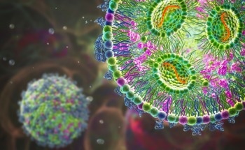 Reprogramming Liver Immunity: A Lipid Nanoparticle Approach for Pancreatic Cancer Therapy