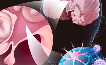 Study Shows Potential for New Treatments for Neurological and Inflammatory Diseases