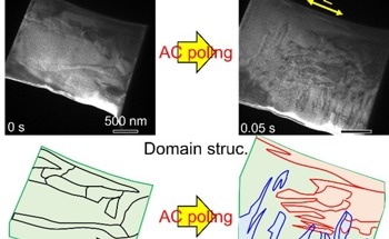 Real-Time Visualization of Crystal Nanostructures Under Electric Fields