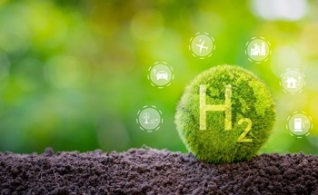 Flexocatalytic Hydrogen Generation and Organic Pollutant Degradation Using Nano SrTiO3