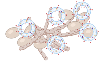 Targeted Nanotechnology Shows Promise in Tackling Drug-Resistant Fungal Infections