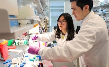 Nanoparticles Boost Ultrasound Cancer Therapy