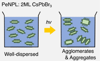 Breakthrough for Observing Light-Sensitive Materials