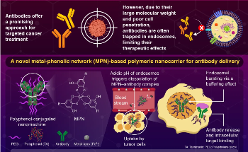 Novel Polyphenol-Metal Nanocarrier for Antibody Delivery