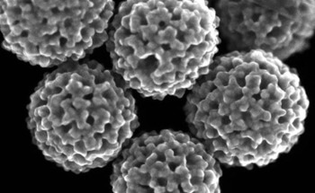 Nanoscale Gold Detects Ovarian Cancer Markers in Bodily Fluids