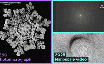 Molecular-Resolution Observations Reveal Ice's Malleability and Gas Entrapment