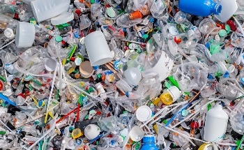 Zinc Oxide Nanocrystals Achieve 92 % PFAS Breakdown