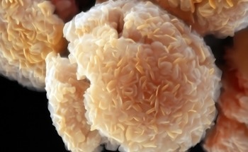 Safer, Cheaper Method for Creating Futuristic MXenes