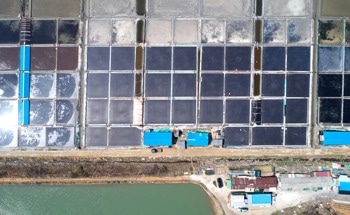 Low-Cost Nanocoating Helps Solar Ponds Produce More Fresh Water