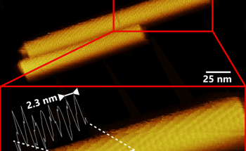 The Challenge of Imaging Tobacco Mosaic Virus