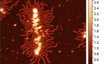 How to Characterize Polymers at the Nanoscale