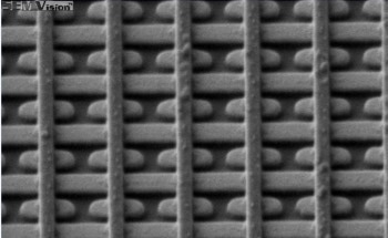 Next Generation, Permanent DNA-Based Data Storage for the AI Age