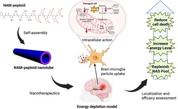 Nicotinamide Nanotubes Restore Brain Cell Energy After Acute Injury