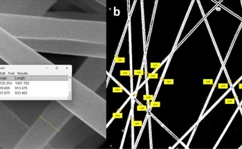 AI Helps Researchers Measure Nanofibers Beyond Diameter Alone