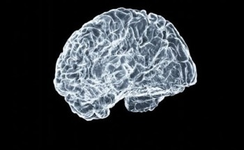 Graphene Quantum Dots Show Promise in Targeting Parkinson's-Related Protein Clumping