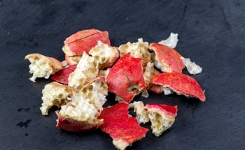 Pomegranate Peel Nanomaterials Give TiO₂ New Control Over CO₂ Reduction