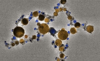 New Versatile Nanoplatelet Platform Optimizes Tumor Imaging and Cancer Destruction