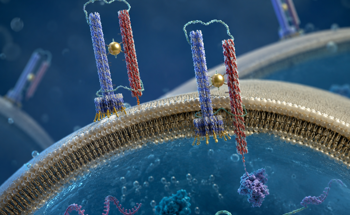 DNA Origami Nanosyringe Pierces and Reseals Membranes to Control Molecular Delivery