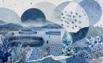 Nanoparticles Show Promise for Safer Drugs, Vaccines, and Water in Aquaculture