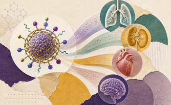 Modular Coatings Steer Nanoparticles Toward Specific Organs in Mice