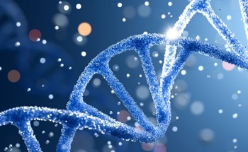 A Small Chemical Tweak Makes DNA Build Two Very Different Nanostructures