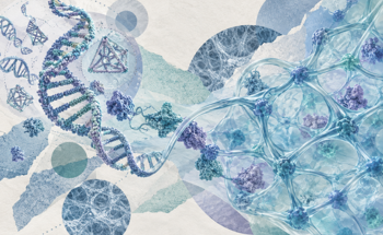 DNA–Protein Hydrogels Push DNA Nanotechnology Into Adaptive Soft Matter