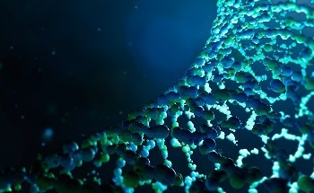 Researchers Develop Manganese-Doped Carbon Nanodots for Safer MRI