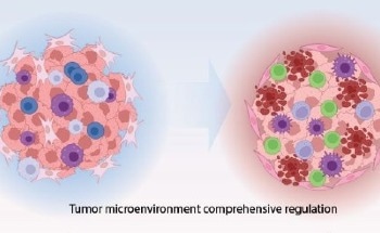 Polymeric Nanomedicines Reprogram the Tumor Microenvironment to Turn Cold Tumors Hot
