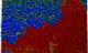 Elastic modulus of cell