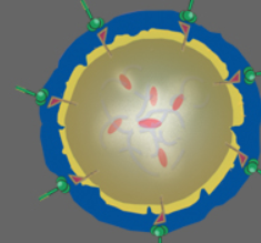 NanoViricides, Inc