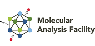 Molecular Analysis Facility