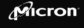 Micron Technology, Inc.