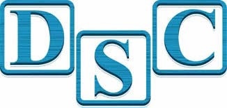 DSC: Data Support Company logo.