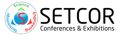 Setcor Media FZ-LLC