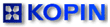 Kopin Corp