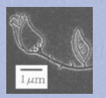 JC Nabity Lithography Systems