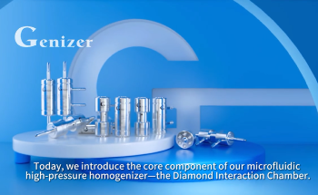 Diamond Interaction Cavity The Core of Homogenization Technology