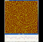 Scan of Polysilicon with Dimension FastScan