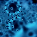 Nanoscale Analysis of Viruses and Viral Aggregates with Nanosight's NTA