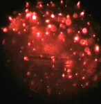 Polydisperse TiO2 in Water