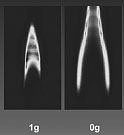 AZoNano, Nanotechnology - Figure showing the measurements of the particle concentration in a flame under terrestrial and microgravity conditions.